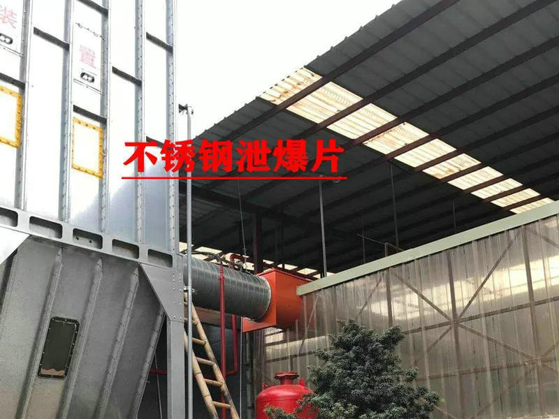 泄爆片.JPG